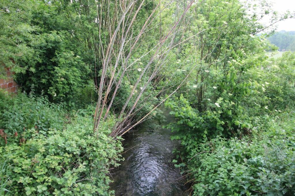 Sauna Et Jacuzzi - Les Mille Et Nuits - 2km *