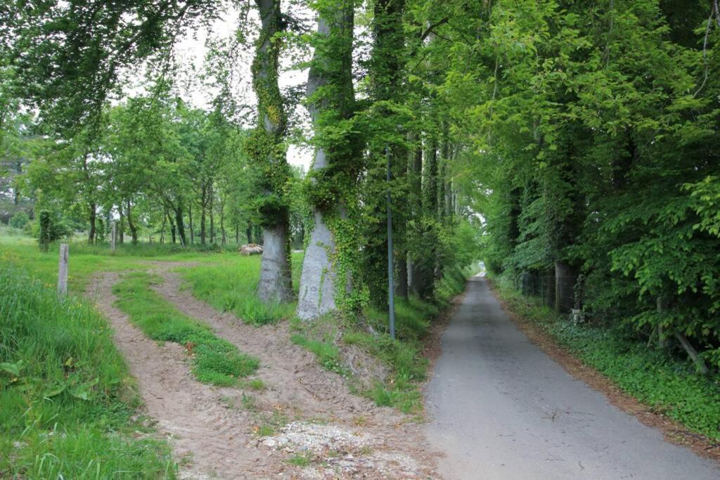 Sauna Et Jacuzzi - Les Mille Et Nuits - 2km Le Bourg-Dun